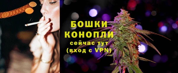 молекула духа Покров