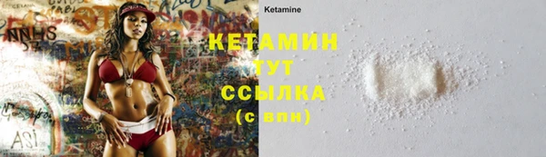 крисы Аркадак