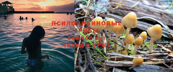марки nbome Арсеньев