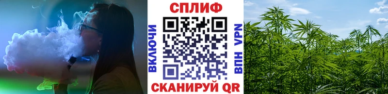 Марихуана SATIVA & INDICA  как найти закладки  Тутаев 